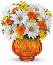 Sunshine With Daisies